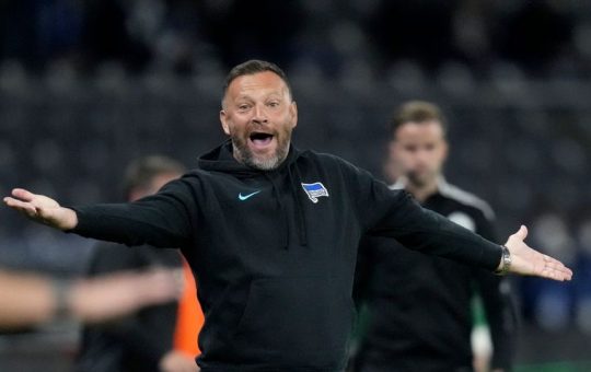 dárdai pál